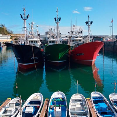 Puerto Getaria Puerto Getaria